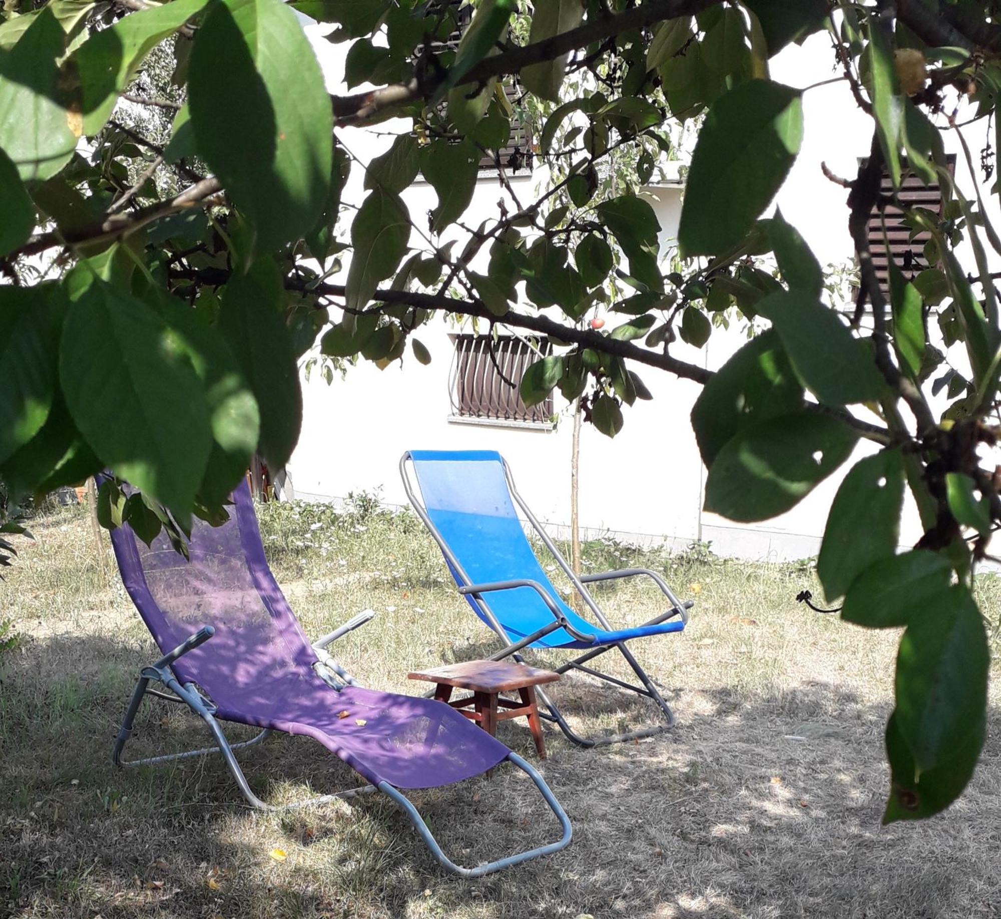 Kuca Za Odmor Zicanka Κράλιεβο Εξωτερικό φωτογραφία
