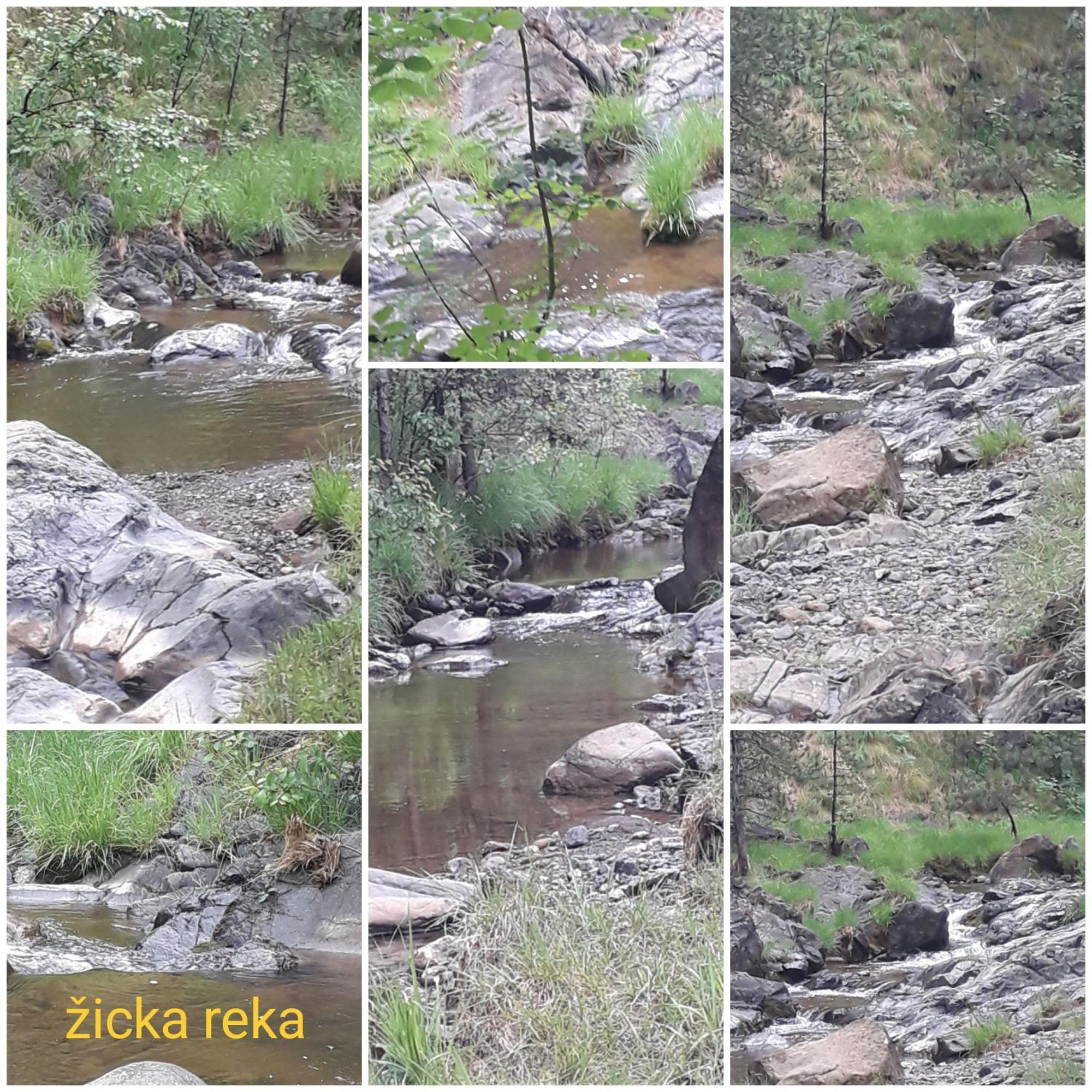 Kuca Za Odmor Zicanka Κράλιεβο Εξωτερικό φωτογραφία